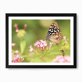 Spring Butterfly Art Print