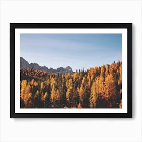 Autumn Forest Mountains Art Print