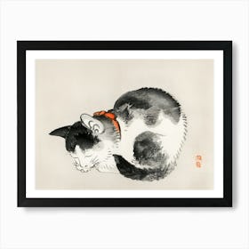 Cat Sleeping Art Print