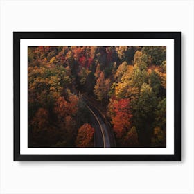 Autumn Forest Road Art Print