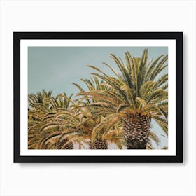 Portugal Palm Trees Art Print