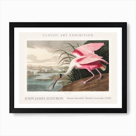 Roseate Spoonbill, Platalea Leucorodia, From  The Birds Of America , 1836 By John James Audubon Poster Art Print