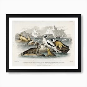 Collection Of Various Seals, Oliver Goldsmith Art Print