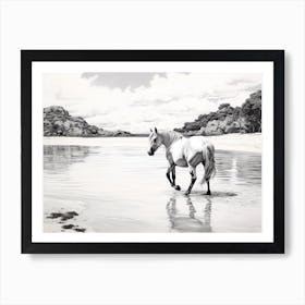 A Horse Oil Painting In Anse Cocos, Seychelles, Landscape 2 Art Print