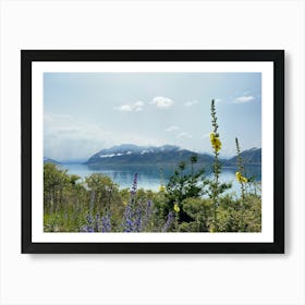 Wildflowers By Lake Hawea, New Zealand | Landscape Photography Art Print Art Print