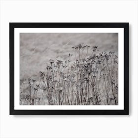 Flower Buds In The Beige Greige Golden Field 1 Art Print