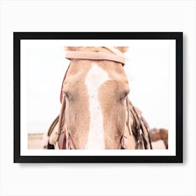 Western Horse Tack Art Print