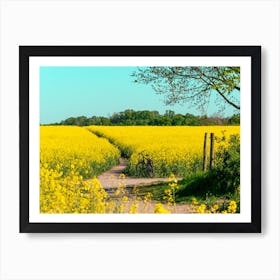 Canola Fields Under The Sun 04 Art Print