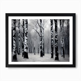 Birch Trees 51 Art Print
