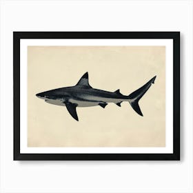 Bull Shark Grey Silhouette 8 Art Print