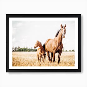 Horse And Foal Art Print