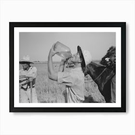 Rice Farmer Drinking In The Fields, Crowley, Louisiana By Russell Lee Art Print