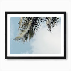 Palm Leaf Sky Art Print