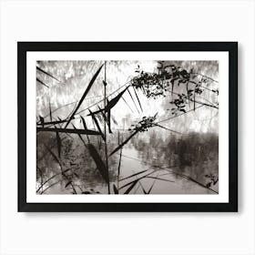 Artful Riverbank Scenery in Enfield Town Park B&W Art Print