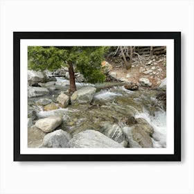 Stream In The Woods 3 Art Print