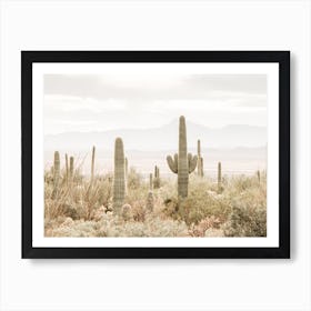 Arizona Landscape Art Print
