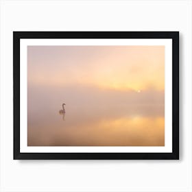 Misty Morning Art Print