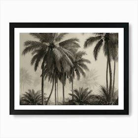 Palm Trees In The Fog 1 Art Print