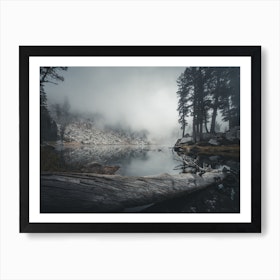 Landscapes Raw 13 Sequoia (USA) Art Print