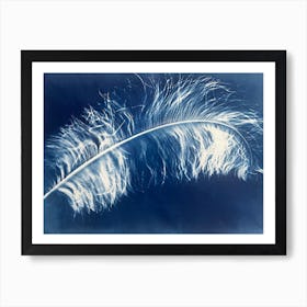 Blue Cyanotype Ostrich Feather 5 Art Print