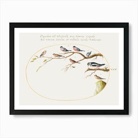 Great Spotted Woodpecker, Bullfinches, Sparrows, And Other Birds (1575–1580), Joris Hoefnagel Art Print