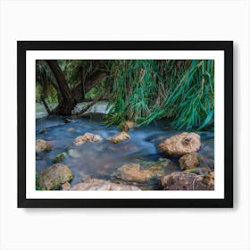 Peaceful Stream In The Forest 1 Art Print