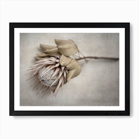 Everlasting 5 Art Print