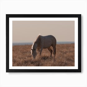 Wild Horse Scenery Art Print