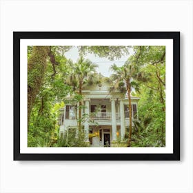 Jungle House Art Print