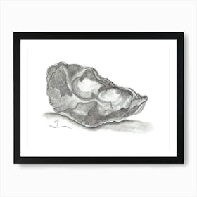 Oyster Shell in pencil Art Print