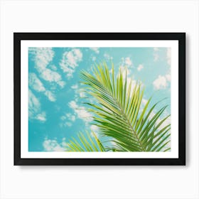 Palm Tree Against Blue Sky 4 Art Print