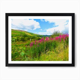 Purple Pink Flowers On A Hillside Scotland Countryside Art Print