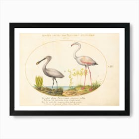 Flying And Amphibious Animals, Joris Hoefnagel 2 Art Print