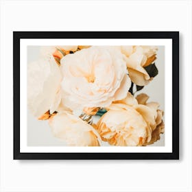 Yellow Roses Art Print