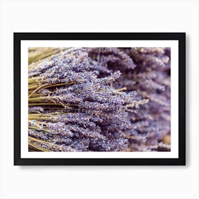 Lavender Art Print