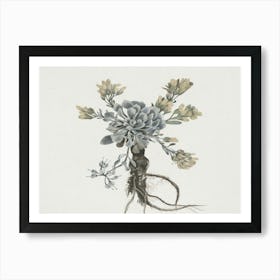 Succulents 1 Art Print