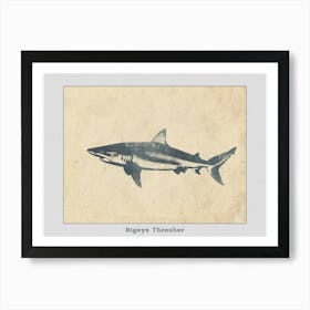 Bigeye Thresher Grey Silhouette 5 Poster Art Print