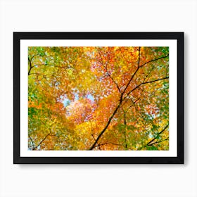 Autumn1 Art Print