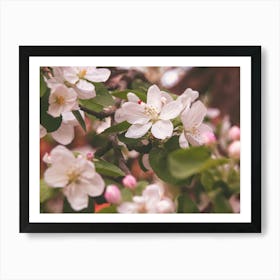 Blossoming Apple Tree Art Print