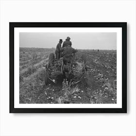 Potato Digger In Section Near East Grand Forks, Minnesota By Russell Lee Art Print