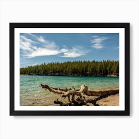 Mcleod Lake Beach Art Print