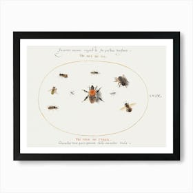 Nine Bees And Other Insects (1575–1580), Joris Hoefnagel Art Print