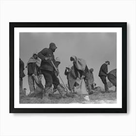 Working On The Levee At Bird S Point, Missouri During The Height Of The Flood By Russell Lee Art Print