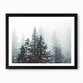 Pacific Northwest Forest Dreams Art Print