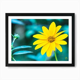 Yellow Flower 20221022541pub Art Print