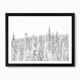 Winter Wonderland Art Print