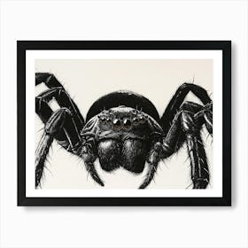 Black Widow Spider 1 Art Print