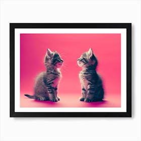 Kittens Looking At Each Other Art Print