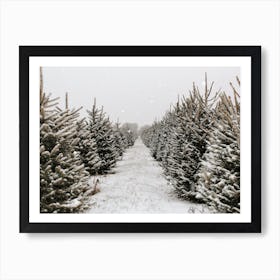 Christmas Tree Farm Art Print