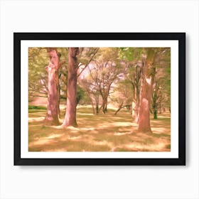 Sun In Trees Art Print